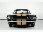 Thumbnail Photo 3 for 1966 Shelby GT350